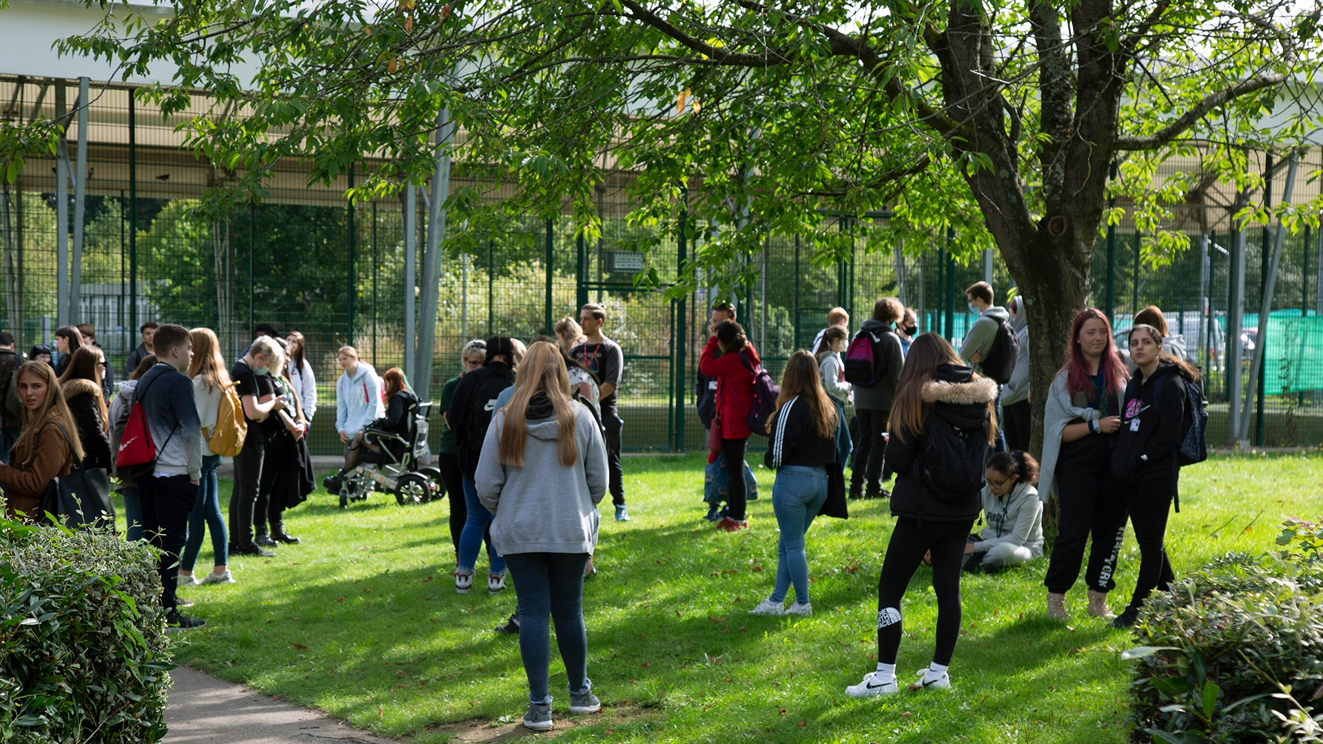 Students gather in a grassy outdoor space with trees and fencing, standing and sitting in small groups across the lawn.
