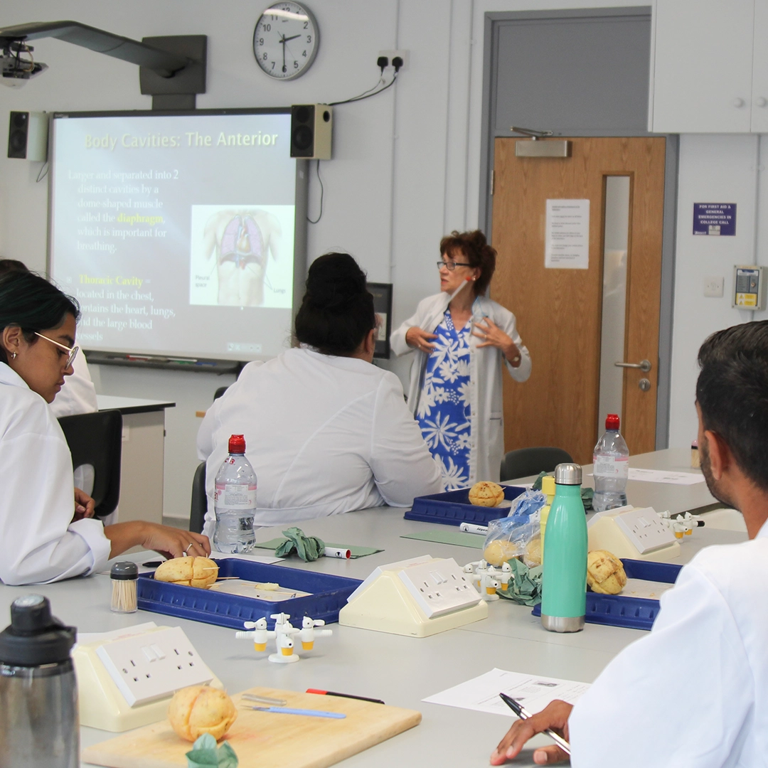 Tutor explaining human anatomy to students in a classroom with a projected slide on body cavities.