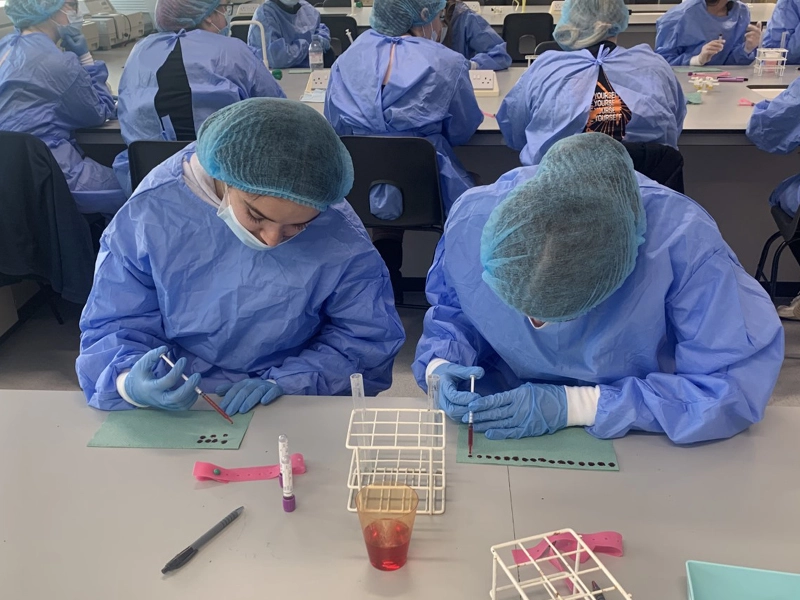 Students wearing protective gowns, gloves, masks, and hair coverings while carrying out a practical lab activity, using pipettes to transfer liquid into small samples at a classroom bench with equipment and containers visible.