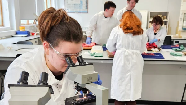 Person in a lab coat and safety glasses uses a microscope at a laboratory bench in the foreground, while four others in lab coats and gloves work with biological samples on trays at benches in the background; windows, shelving, and lab equipment are visible throughout the bright room.