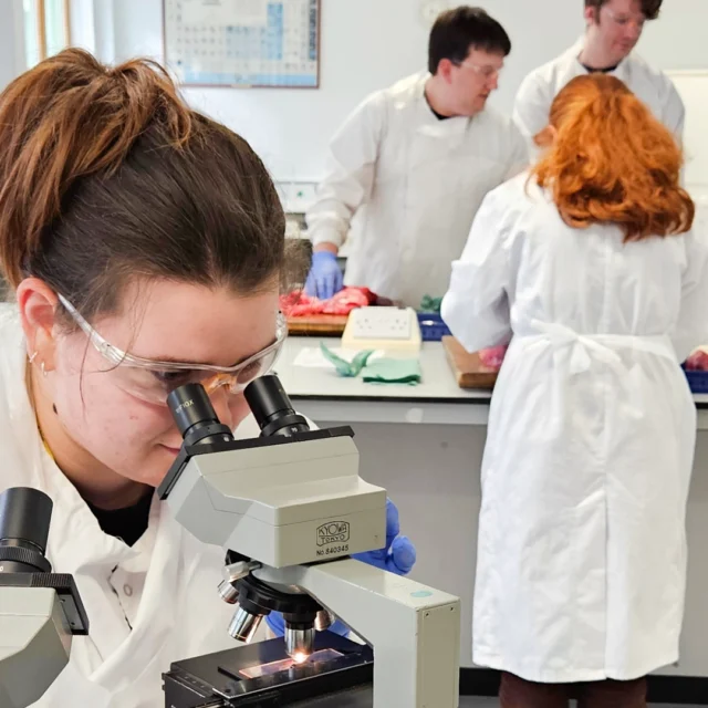 Person in a lab coat and safety glasses uses a microscope at a laboratory bench in the foreground, while four others in lab coats and gloves work with biological samples on trays at benches in the background; windows, shelving, and lab equipment are visible throughout the bright room.