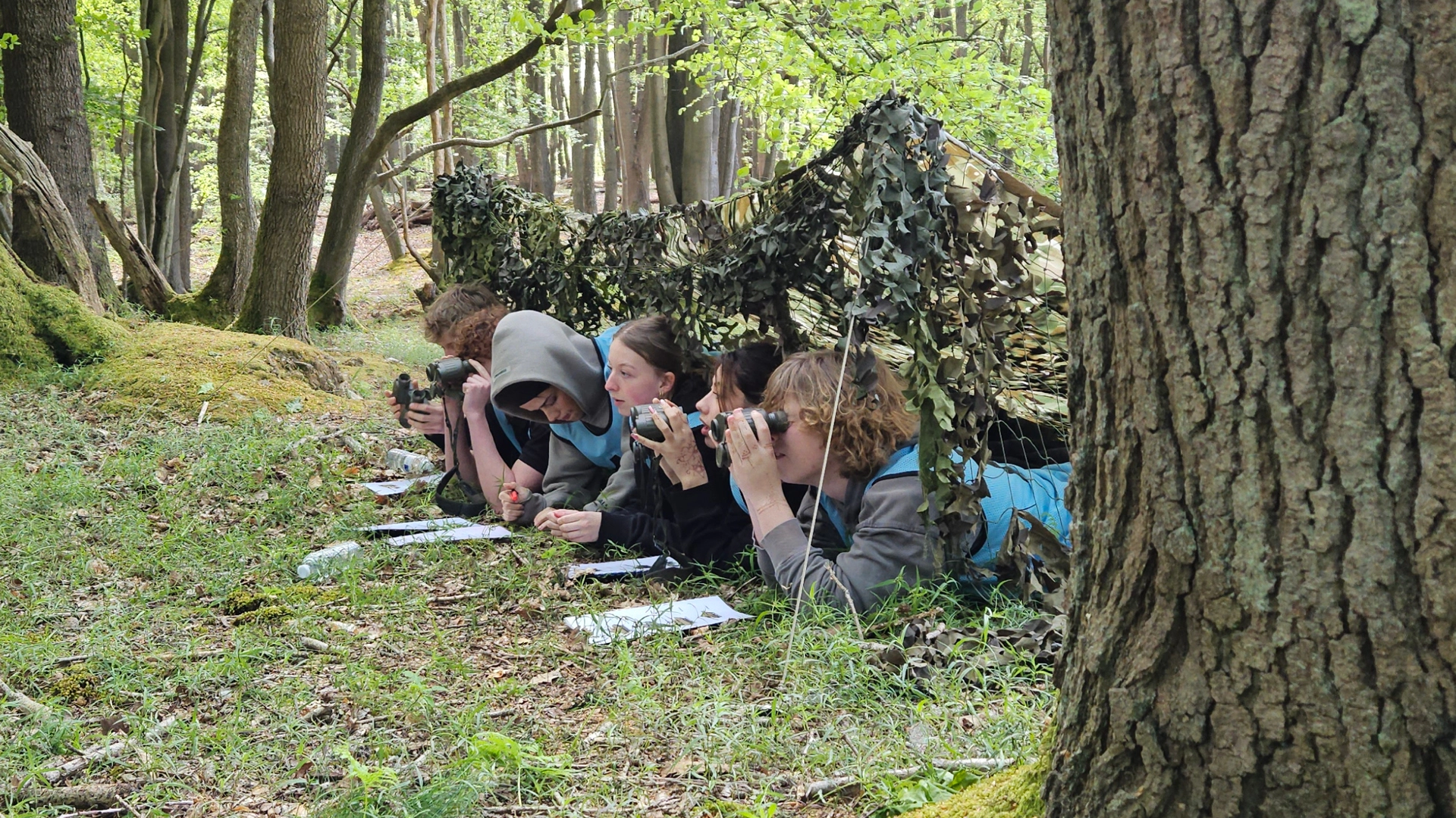 Group of students lying on the forest floor beneath a camouflaged net shelter, using binoculars and writing on papers while observing the surrounding woodland.