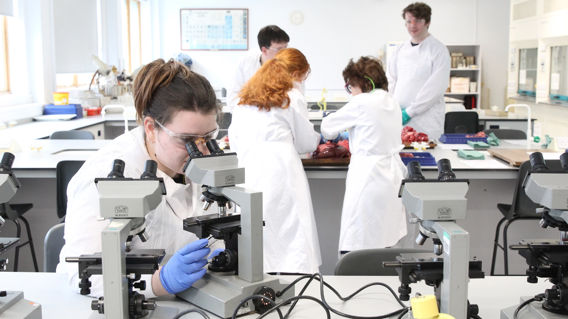 A nescot student in a lab coat and safety glasses looks through a microscope in a science lab, while other students and lecturer in the background conduct a practical activity at a workbench.