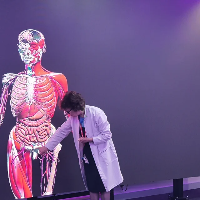 Person in a lab coat pointing at a large digital display of a human anatomical model in a classroom.