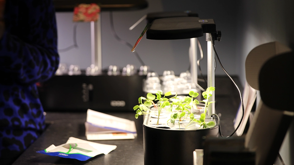 Small indoor plant growing system with seedlings under grow light on a lab bench