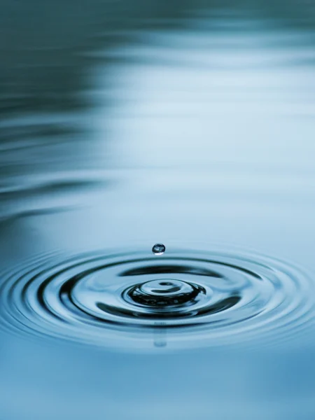 Close-up of a water droplet forming ripples on a calm surface