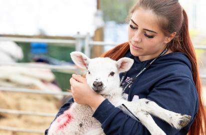 Animal Welfare and Management: Open University Foundation Degree 