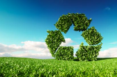 Principles of Understanding Environmental Sustainability (Distance Learning)
