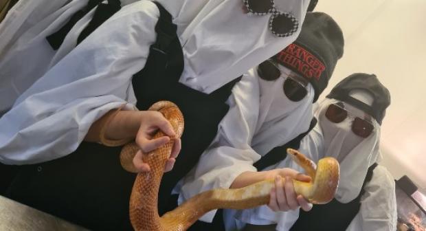 Animal Studies group hold Halloween fundraiser for charity