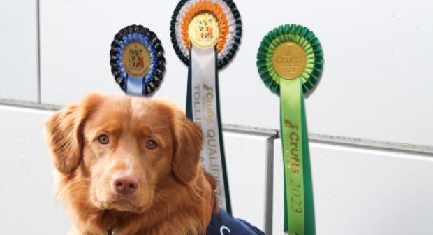 Nescot's assistance dog competes at Crufts