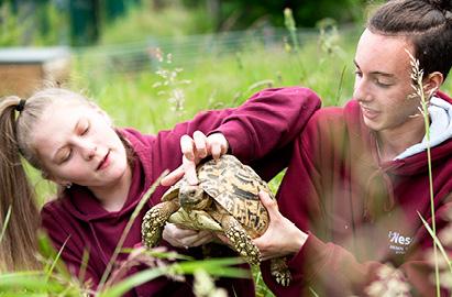 Animal Management and Current Conservation: Open University BSc (Top Up)