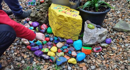 Supported Interns create colourful garden